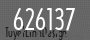 TNjI2MM3